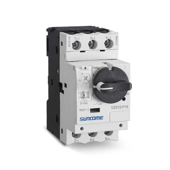 DZS12-P32 (High Breaking Capacity)